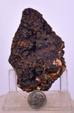 8.5cms GOETHITE BOTRYOIDAL IRIDESCENT CRYSTALS PERU IRON NEW FIND MINERAL ZB57