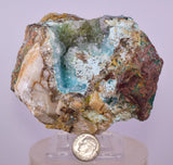 9.6cms DRUZY CHRYSOCOLLA QUARTZ CRYSTAL LILY MINE PERU 2000 YEAR DB314