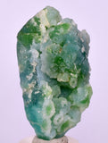 5.6cms DRUZY CHRYSOCOLLA QUARTZ CRYSTAL LILY MINE PERU 2000 YEAR DB315