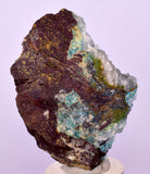 5.1cms DRUZY CHRYSOCOLLA QUARTZ CRYSTAL LILY MINE PERU 2000 YEAR DB319