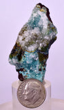 5.1cms DRUZY CHRYSOCOLLA QUARTZ CRYSTAL LILY MINE PERU 2000 YEAR DB319