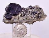 5.8cms GALENA QUARTZ PYRITE CRYSTAL CUBIC PERU MINERAL SPECIMEN  GB77