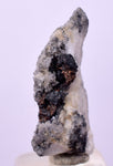 2cms NATIVE SILVER WIRE PERU UCHUCCHACUA MINE MINERAL SPECIMEN HB304