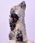 2cms NATIVE SILVER WIRE PERU UCHUCCHACUA MINE MINERAL SPECIMEN HB304
