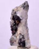 2cms NATIVE SILVER WIRE PERU UCHUCCHACUA MINE MINERAL SPECIMEN HB304