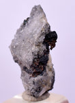 2cms NATIVE SILVER WIRE PERU UCHUCCHACUA MINE MINERAL SPECIMEN HB304