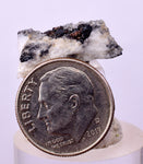 2cms NATIVE SILVER WIRE PERU UCHUCCHACUA MINE MINERAL SPECIMEN HB304