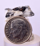 2cms NATIVE SILVER WIRE PERU UCHUCCHACUA MINE MINERAL SPECIMEN HB304