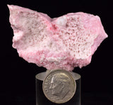 5.3cms RHODOCHROSITE CALCITE CRYSTALS JORDANITE (?) GALENA PERU RB741