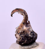 1.2cms NATIVE SILVER WIRE PERU UCHUCCHACUA MINE MINERAL SPECIMEN HB305