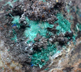 4cms GEM BROCHANTITE LINARITE CHRYSOCOLLA CHILE MINERAL SPECIMEN ZB58