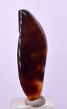 5.5cts FIRE AGATE CABOCHONS Natural Mexico Multi Color Gemstone Jewelry BB423