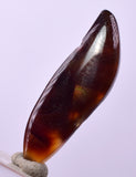 5.5cts FIRE AGATE CABOCHONS Natural Mexico Multi Color Gemstone Jewelry BB423