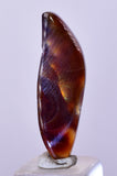 5.5cts FIRE AGATE CABOCHONS Natural Mexico Multi Color Gemstone Jewelry BB423