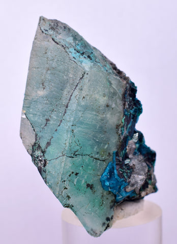 5.3cms QUARTZ CHRYSOCOLLA BOTRYOIDAL TENTADORA MINE PERU MINERAL SPECIMEN CB191