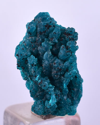1.8cm GEM BLUE MALACHITE PSEUDOMORPH CHRYSOCOLLA PERU ROSETTE  CRYSTAL UB287