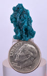 1.8cm GEM BLUE MALACHITE PSEUDOMORPH CHRYSOCOLLA PERU ROSETTE  CRYSTAL UB287