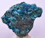 4.1cms QUARTZ CHRYSOCOLLA BOTRYOIDAL TENTADORA MINE PERU MINERAL SPECIMEN CB192