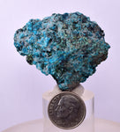 4.1cms QUARTZ CHRYSOCOLLA BOTRYOIDAL TENTADORA MINE PERU MINERAL SPECIMEN CB192
