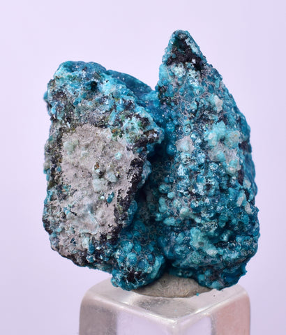 2.3cms QUARTZ CHRYSOCOLLA BOTRYOIDAL TENTADORA MINE PERU MINERAL SPECIMEN CB193
