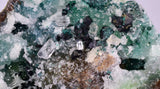 12cms GEM CLINOATACAMITE CRYSTALS DRUSY CHRYSOCOLLA LILY MINE PERU 2000 DISCOVERY DB322