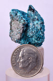 2.3cms QUARTZ CHRYSOCOLLA BOTRYOIDAL TENTADORA MINE PERU MINERAL SPECIMEN CB193