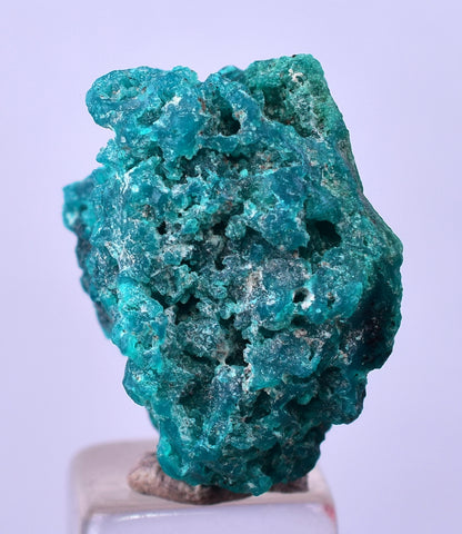 1.9cm GEM BLUE MALACHITE PSEUDOMORPH CHRYSOCOLLA PERU ROSETTE  CRYSTAL UB290