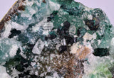 12cms GEM CLINOATACAMITE CRYSTALS DRUSY CHRYSOCOLLA LILY MINE PERU 2000 DISCOVERY DB322