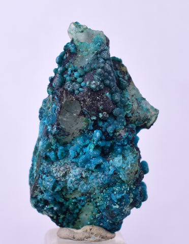 3.1cms QUARTZ CHRYSOCOLLA BOTRYOIDAL TENTADORA MINE PERU MINERAL SPECIMEN CB194