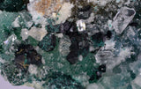 12cms GEM CLINOATACAMITE CRYSTALS DRUSY CHRYSOCOLLA LILY MINE PERU 2000 DISCOVERY DB322