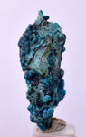 3.1cms QUARTZ CHRYSOCOLLA BOTRYOIDAL TENTADORA MINE PERU MINERAL SPECIMEN CB194