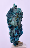 3.1cms QUARTZ CHRYSOCOLLA BOTRYOIDAL TENTADORA MINE PERU MINERAL SPECIMEN CB194