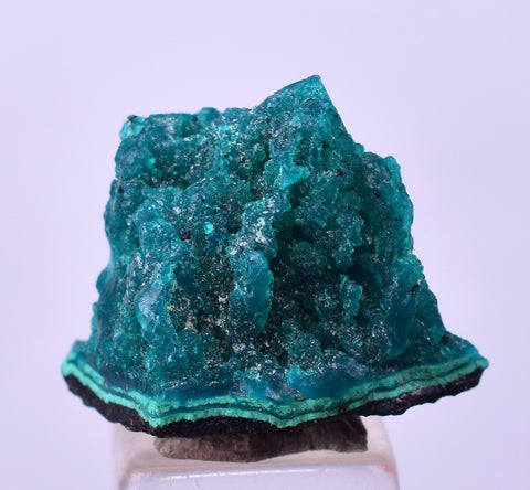 1.8cm GEM BLUE MALACHITE PSEUDOMORPH CHRYSOCOLLA PERU ROSETTE  CRYSTAL UB291