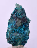 3.1cms QUARTZ CHRYSOCOLLA BOTRYOIDAL TENTADORA MINE PERU MINERAL SPECIMEN CB194
