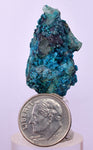 3.1cms QUARTZ CHRYSOCOLLA BOTRYOIDAL TENTADORA MINE PERU MINERAL SPECIMEN CB194