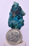 3.1cms QUARTZ CHRYSOCOLLA BOTRYOIDAL TENTADORA MINE PERU MINERAL SPECIMEN CB194