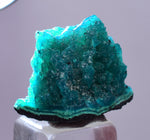 1.8cm GEM BLUE MALACHITE PSEUDOMORPH CHRYSOCOLLA PERU ROSETTE  CRYSTAL UB291