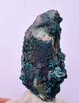 3.7cms QUARTZ CHRYSOCOLLA BOTRYOIDAL TENTADORA MINE PERU MINERAL SPECIMEN CB195