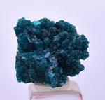 1.8cm GEM BLUE MALACHITE PSEUDOMORPH CHRYSOCOLLA PERU ROSETTE  CRYSTAL UB292