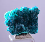 1.8cm GEM BLUE MALACHITE PSEUDOMORPH CHRYSOCOLLA PERU ROSETTE  CRYSTAL UB292