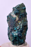 3.7cms QUARTZ CHRYSOCOLLA BOTRYOIDAL TENTADORA MINE PERU MINERAL SPECIMEN CB195