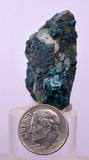 3.7cms QUARTZ CHRYSOCOLLA BOTRYOIDAL TENTADORA MINE PERU MINERAL SPECIMEN CB195