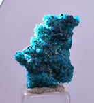 2.1cm GEM BLUE MALACHITE PSEUDOMORPH CHRYSOCOLLA PERU ROSETTE  CRYSTAL UB293