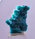 2.1cm GEM BLUE MALACHITE PSEUDOMORPH CHRYSOCOLLA PERU ROSETTE  CRYSTAL UB293