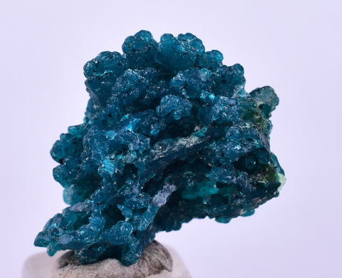 1.9cm GEM BLUE MALACHITE PSEUDOMORPH CHRYSOCOLLA PERU ROSETTE  CRYSTAL UB294