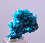 1.9cm GEM BLUE MALACHITE PSEUDOMORPH CHRYSOCOLLA PERU ROSETTE  CRYSTAL UB294