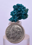 1.9cm GEM BLUE MALACHITE PSEUDOMORPH CHRYSOCOLLA PERU ROSETTE  CRYSTAL UB294
