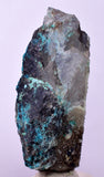 6.1cms QUARTZ CHRYSOCOLLA BOTRYOIDAL TENTADORA MINE PERU MINERAL SPECIMEN CB197