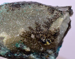 6.1cms QUARTZ CHRYSOCOLLA BOTRYOIDAL TENTADORA MINE PERU MINERAL SPECIMEN CB197