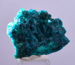 2.4cm GEM BLUE MALACHITE PSEUDOMORPH CHRYSOCOLLA PERU ROSETTE  CRYSTAL UB295